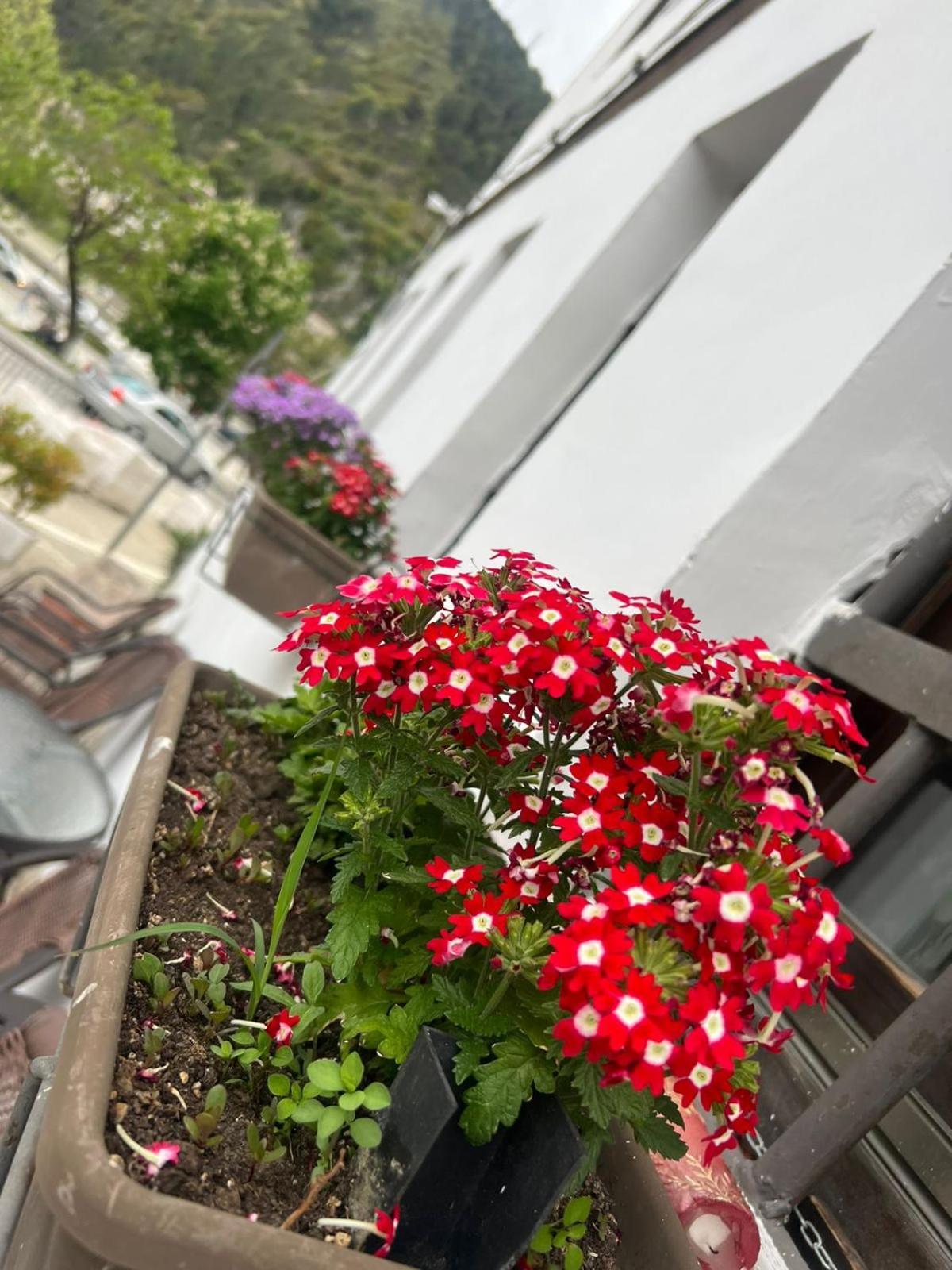 בראט Hotel Omer חדר תמונה